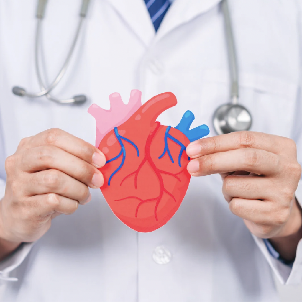 échographie cardiaque